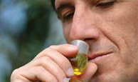 Ghid de degustare