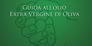 Noul ghid al uleiului de masline extravirgin