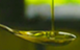 Ghid de degustare